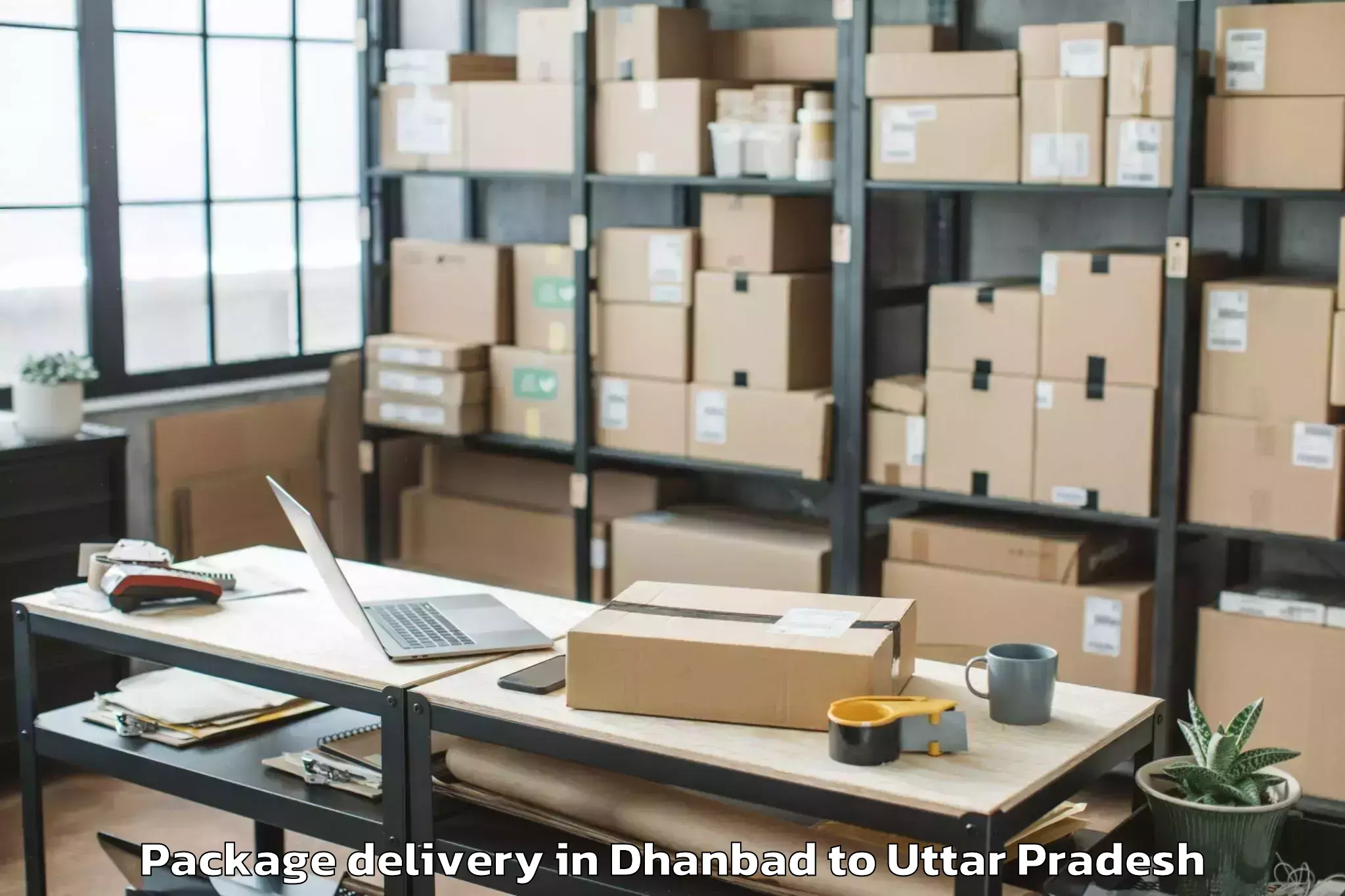 Expert Dhanbad to Mahroni Package Delivery